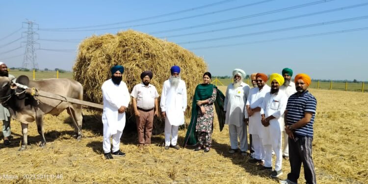ਪਰਾਲੀ ਸੰਭਾਲਣ ਦੇ ਮਾਮਲੇ ‘ਚ ਪਿੰਡ ਬਠਲੀ, ਆਕੜ ਤੇ ਆਕੜੀ ਨੇ ਮਿਸਾਲ ਕਾਇਮ ਕੀਤੀ