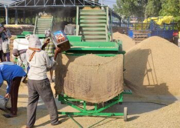 ਪਟਿਆਲਾ ਜ਼ਿਲ੍ਹੇ ‘ਚ ਕਿਸਾਨਾਂ ਨੂੰ ਝੋਨੇ ਦੀ 1082 ਕਰੋੜ ਰੁਪਏ ਦੀ ਹੋਈ ਅਦਾਇਗੀ