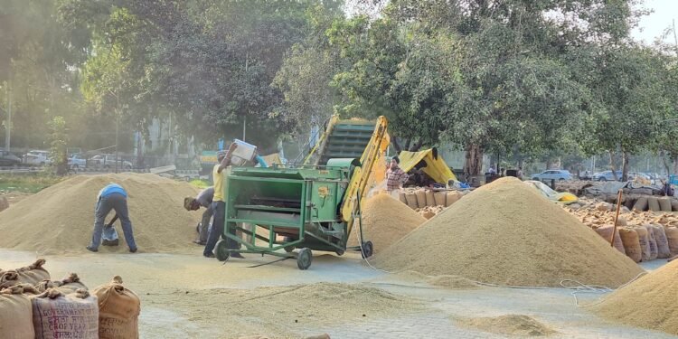 ਪਟਿਆਲਾ ਜ਼ਿਲ੍ਹੇ ਦੀਆਂ ਮੰਡੀਆਂ ‘ਚ ਝੋਨੇ ਦੀ ਆਮਦ 6 ਲੱਖ ਮੀਟ੍ਰਿਕ ਟਨ ਹੋਈ