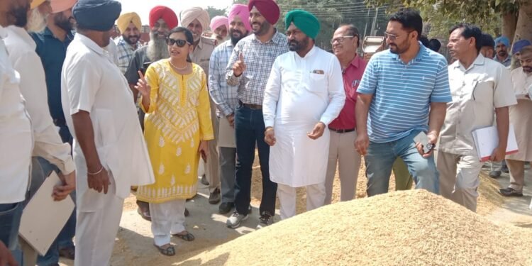 ਡਿਪਟੀ ਕਮਿਸ਼ਨਰ ਵੱਲੋਂ ਰਾਜਪੁਰਾ ਮੰਡੀ ਦਾ ਅਚਨਚੇਤ ਦੌਰਾ, ਝੋਨੇ ਦੀ ਖਰੀਦ ਦਾ ਜਾਇਜ਼ਾ ਲਿਆ