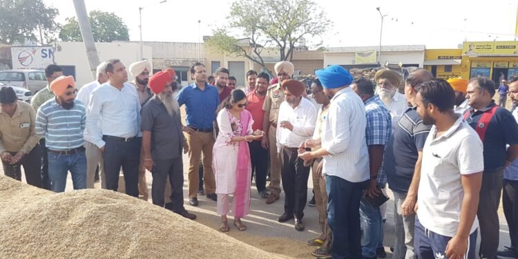 ਡਿਪਟੀ ਕਮਿਸ਼ਨਰ ਵੱਲੋਂ ਸਨੌਰੀ ਅਤੇ ਸਨੌਰ ਅਨਾਜ ਮੰਡੀ ਦਾ ਦੌਰਾ, ਝੋਨੇ ਦੇ ਖਰੀਦ ਪ੍ਰਬੰਧਾਂ ਦਾ ਲਿਆ ਜਾਇਜ਼ਾ