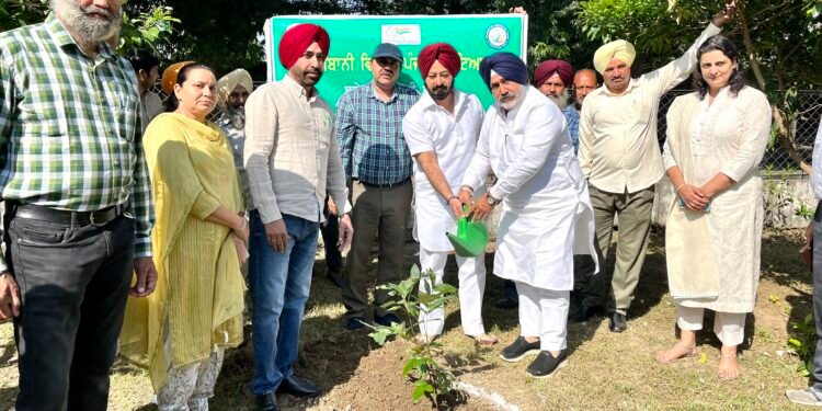 ਬਾਗਬਾਨੀ ਮੰਤਰੀ ਜੌੜਾਮਾਜਰਾ ਨੇ ਬਾਰਾਂਦਾਰੀ ‘ਚ ਅਮਲਤਾਸ ਤੇ ਗੁਲਮੋਹਰ ਦੇ 200 ਬੂਟੇ ਲਾਉਣ ਦੀ ਸ਼ੁਰੂਆਤ ਕਰਵਾਈ