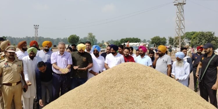 ਸਿਹਤ ਮੰਤਰੀ ਡਾ. ਬਲਬੀਰ ਸਿੰਘ ਵੱਲੋਂ ਮੰਡੀਆਂ ਦਾ ਦੌਰਾ, ਝੋਨੇ ਦੀ ਖਰੀਦ ਦਾ ਜਾਇਜ਼ਾ