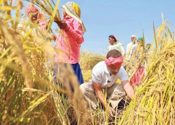 ਕਾਂਗਰਸ ਸਰਕਾਰ ਬਣਨ ’ਤੇ ਗਰੀਬਾਂ ਦਾ 10 ਲੱਖ ਰੁਪਏ ਤੱਕ ਦਾ ਇਲਾਜ ਮੁਫ਼ਤ: ਰਾਹੁਲ