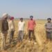 ਜ਼ਿਲ੍ਹਾ ਪ੍ਰਸ਼ਾਸਨ ਦੀਆਂ ਟੀਮਾਂ ਵੱਲੋਂ ਕਿਸਾਨਾਂ ਨੂੰ ਸਮਝਾਉਣ ਸਦਕਾ ਪਰਾਲੀ ਨੂੰ ਅੱਗ ਲੱਗਣ ਦੇ ਮਾਮਲੇ ਘਟੇ