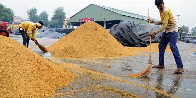 ਕਿਸੇ ਲਈ ਰਾਹਤ ਤੇ ਕਿਸੇ ਲਈ ਆਫ਼ਤ