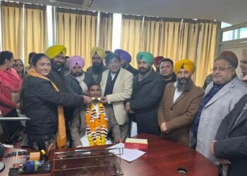 ਅਬਦੁਲ ਬਾਰੀ ਸਾਲਮਨੀ ਨੇ ਘੱਟ ਗਿਣਤੀ ਕਮਿਸ਼ਨ ਦੇ ਚੇਅਰਮੈਨ ਵਜੋਂ ਅਹੁਦਾ ਸੰਭਾਲਿਆ