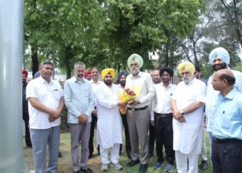 ਪੀ.ਐਸ.ਪੀ.ਸੀ.ਐਲ ਵੱਲੋਂ ਵਿਲੱਖਣ ਪਹਿਲਕਦਮੀ; 35 ਕਿਲੋਵਾਟ ਸਮਰੱਥਾ ਦੇ ਸੱਤ ਸੋਲਰ ਰੁੱਖ ਲਗਾਏ