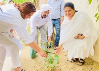 ਜ਼ਿਲ੍ਹਾ ਕਾਨੂੰਨੀ ਸੇਵਾਵਾਂ ਅਥਾਰਟੀ ਨੇ ਮਨਾਇਆ ਵਿਸ਼ਵ ਵਾਤਾਵਰਣ ਦਿਵਸ