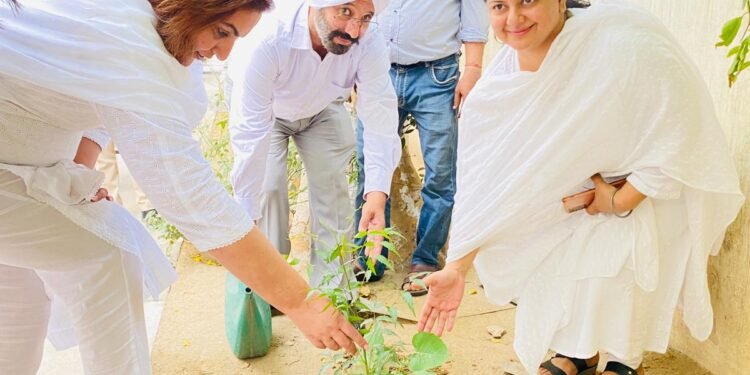 ਜ਼ਿਲ੍ਹਾ ਕਾਨੂੰਨੀ ਸੇਵਾਵਾਂ ਅਥਾਰਟੀ ਨੇ ਮਨਾਇਆ ਵਿਸ਼ਵ ਵਾਤਾਵਰਣ ਦਿਵਸ