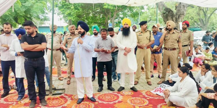 ਡਾਕਟਰਾਂ ਨਾਲ ਕਿਸੇ ਪ੍ਰਕਾਰ ਦੀ ਵਧੀਕੀ ਬਰਦਾਸ਼ਤ ਨਹੀਂ ਹੋਵੇਗੀ : ਵਿਧਾਇਕ ਅਜੀਤਪਾਲ ਸਿੰਘ ਕੋਹਲੀ