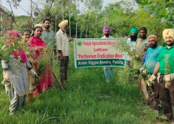 ਕ੍ਰਿਸ਼ੀ ਵਿਗਿਆਨ ਕੇਂਦਰ ਨੇ ਗਾਜਰ ਘਾਹ ਦੇ ਖਾਤਮੇ ਸਬੰਧੀ ਮਨਾਇਆ ਜਾਗਰੂਕਤਾ ਹਫ਼ਤਾ