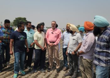 ਕਣਕ ਦੇ ਨਾੜ ਨੂੰ ਅੱਗ ਲੱਗਣ ਕਾਰਨ ਝੁਲਸੇ ਵਿਅਕਤੀਆਂ ਦਾ ਇਲਾਜ ਪੰਜਾਬ ਸਰਕਾਰ ਕਰਵਾਏਗੀ : ਡਾ. ਬਲਬੀਰ ਸਿੰਘ
