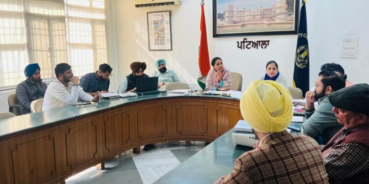 ਡੀ ਸੀ ਵੱਲੋਂ ਮੰਦਿਰ ਸ੍ਰੀ ਕਾਲੀ ਦੇਵੀ ਦੇ ਵਿਕਾਸ ਕਾਰਜਾਂ ਦਾ ਜਾਇਜ਼ਾ